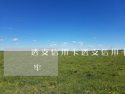 透支信用卡(透支信用卡無力償還怎么辦會坐牢嗎)