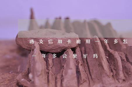 透支信用卡逾期一年多怎么办(欠信用卡逾期一年多会坐牢吗)