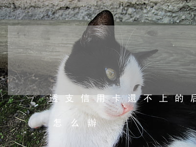 透支信用卡還不上的后果(信用卡透支還不上怎么辦?)