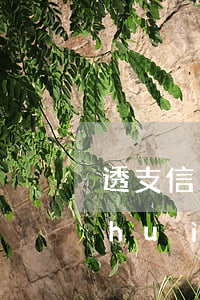 透支信用卡還不起后果怎樣(不還透支卡會(huì)怎么樣)