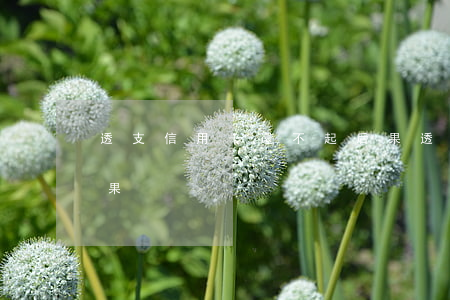 透支信用卡還不起后果(透支信用卡還不起后果)