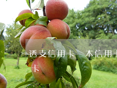 透支信用卡還本信用卡(透支信用卡還本信用卡)