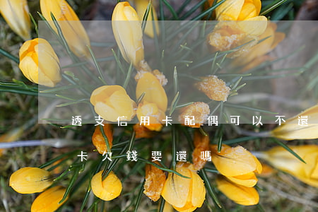 透支信用卡配偶可以不還款(配偶不在了信用卡欠錢要還嗎)