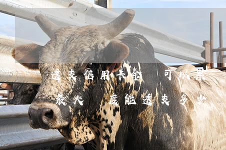 透支信用卡金額可以累計(jì)嗎(透支卡最大額度能透支多少錢)