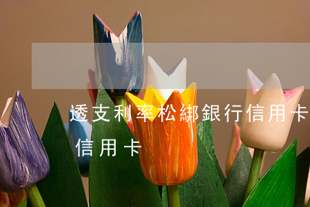 透支利率松綁銀行信用卡(透支利率松綁銀行信用卡)