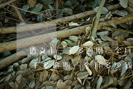 透支卡三千多逾期一个月多少钱-透支卡三千多逾期一个月多少钱利息