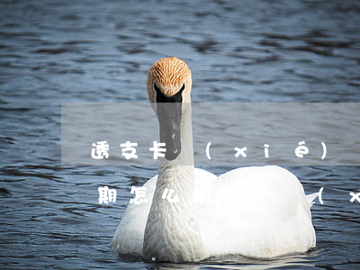 透支卡協(xié)議分期持續(xù)逾期怎么消除-協(xié)議透支 是否屬于貸款