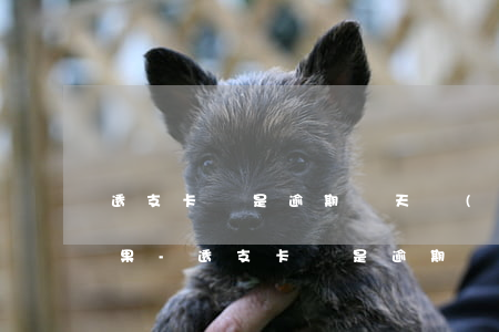 透支卡總是逾期幾天會(huì)有什么后果-透支卡總是逾期幾天會(huì)有什么后果嗎
