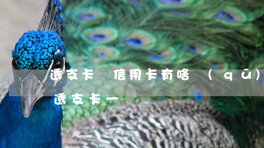 透支卡與信用卡有啥區(qū)別(信用卡和透支卡一樣嗎)