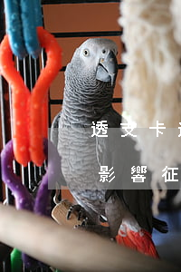 透支卡逾期三天影響征信嗎(透支卡逾期三天影響征信嗎上征信嗎)