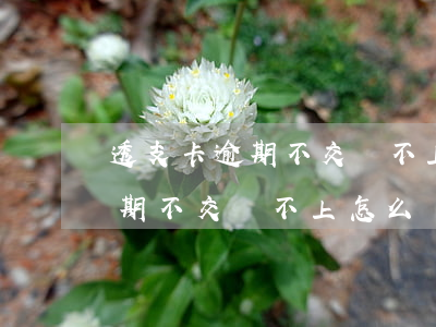 透支卡逾期不交還不上怎么減免-透支卡逾期不交還不上怎么減免違約金