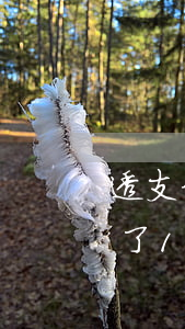 透支卡逾期不還的后果是什么-信用卡透支了10萬還不上怎么辦