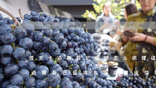 透支卡逾期后已還清怎么處理征信-透支卡逾期后已還清怎么處理征信問題