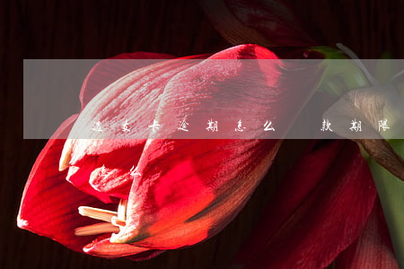 透支卡逾期怎么還款期限(透支卡逾期2天會怎么樣)