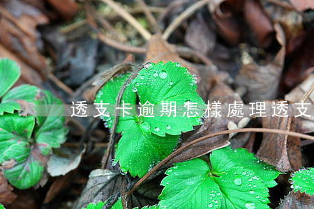 透支卡逾期怎樣處理(透支卡還不起了怎么辦)