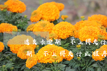 透支卡逾期還不上得走什么程序-透支卡逾期還不上得走什么程序呢