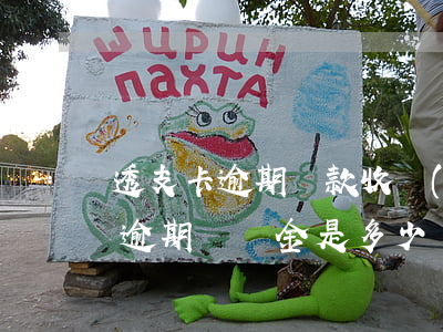 透支卡逾期還款收費(fèi)多少(透支卡逾期滯納金是多少)