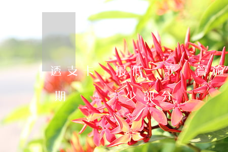 透支卡還最低還款額算逾期嗎（信用卡透支逾期僅償還少部分）