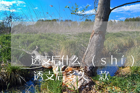 透支后什么時(shí)候還信用卡(信用卡透支后多久還款)