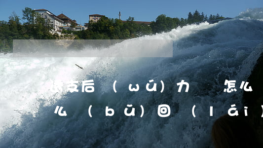 透支后無(wú)力償還怎么辦-透支了怎么補(bǔ)回來(lái)