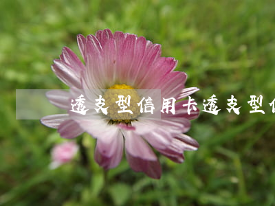 透支型信用卡,透支型信用卡诈骗 透支型信用卡,透支型信用卡诈骗