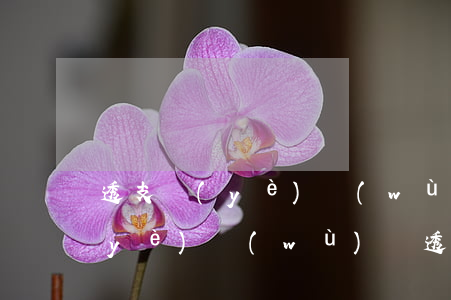 透支業(yè)務(wù)就是信用卡業(yè)務(wù)嗎(透支是什么業(yè)務(wù))
