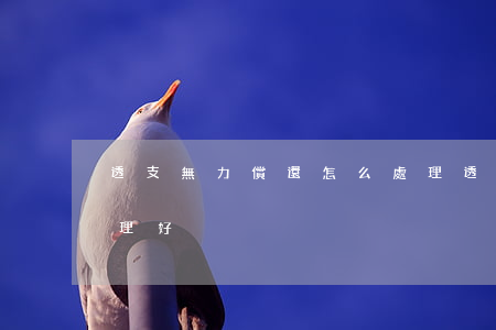 透支無力償還怎么處理(透支無力償還怎么處理好)