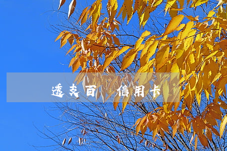透支百萬信用卡電視劇