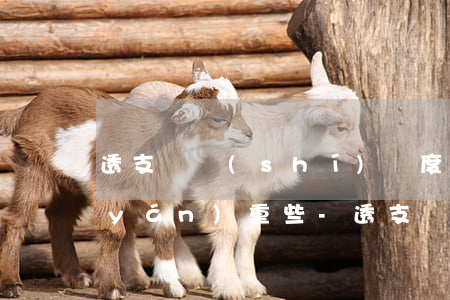 透支臨時(shí)額度逾期是不是要嚴(yán)重些-透支臨時(shí)額度逾期是不是要嚴(yán)重些呢
