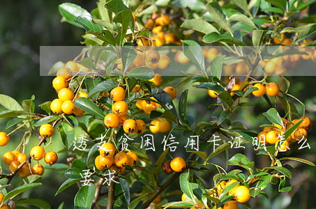 透支贫困信用卡证明怎么写(贫困证明银行卡要求)