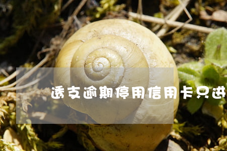 透支逾期停用信用卡只进不出(欠信用卡透支)