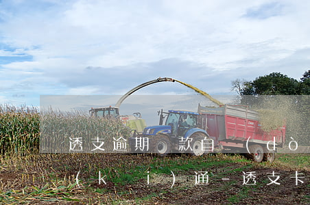 透支逾期還款自動(dòng)鎖了怎么開(kāi)通-透支卡自動(dòng)還款設(shè)置