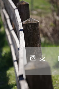 透支還信用卡怎么辦理(怎樣辦理透支信用卡)