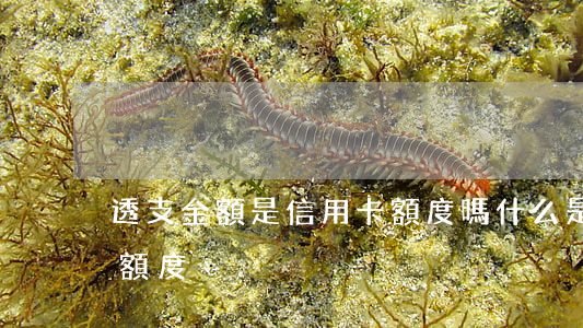 透支金額是信用卡額度嗎(什么是信用卡透支額度)