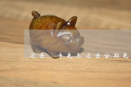 途岳幾年免息（途岳分期免息嗎）
