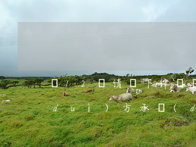 這12種情況下，律師費(fèi)可讓對(duì)方承擔(dān)！