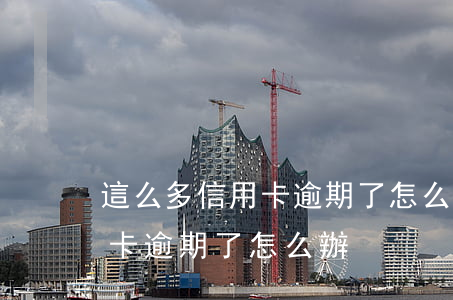 這么多信用卡逾期了怎么辦(所有的貸款信用卡逾期了怎么辦)