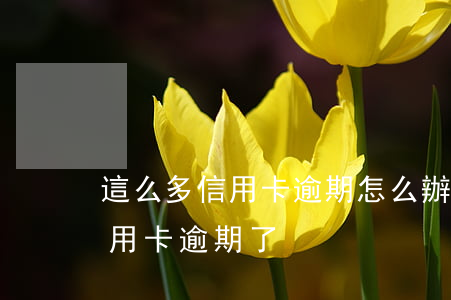 這么多信用卡逾期怎么辦(好幾個(gè)信用卡逾期了)