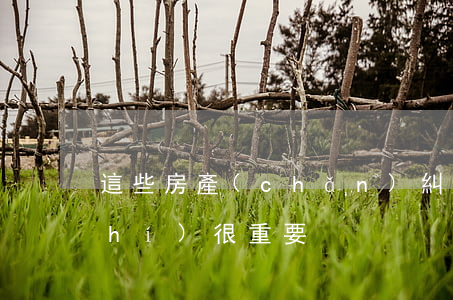 這些房產(chǎn)糾紛法律小常識(shí)！很重要！