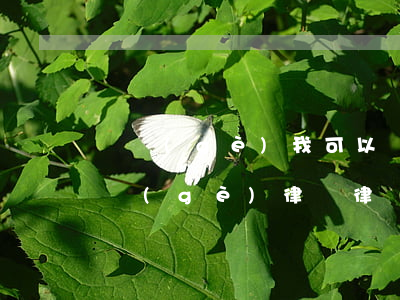 這個(gè)我可以請律師起訴他嗎(我想請個(gè)律師律師)