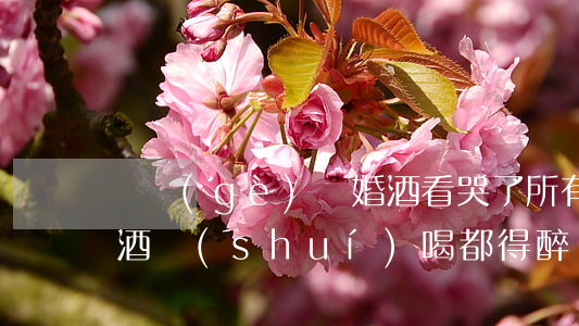 這個(gè)離婚酒看哭了所有人(離婚這杯酒誰(shuí)喝都得醉)
