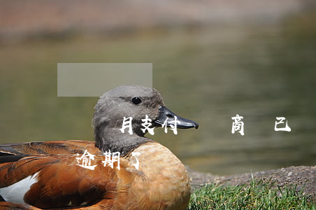 這個月支付寶網商貸已經逾期(支付寶網商貸逾期了)
