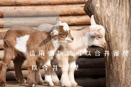 這兩個訴訟可以合并審理嗎(對于什么案件可以合并審理)
