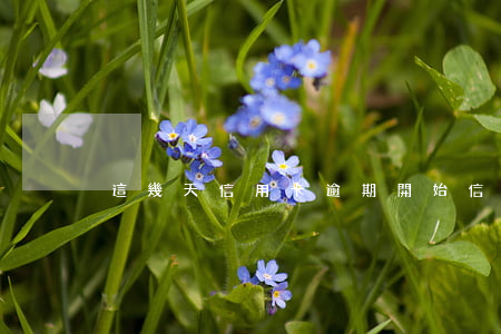 這幾天信用卡逾期開始(信用卡 逾期 幾天)