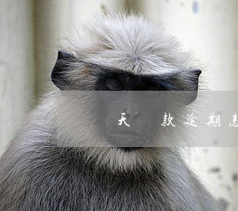這幾天貸款逾期怎么辦(貸款逾期兩三天怎么辦)
