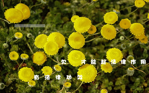 這樣寫欠條才能起法律作用(寫欠條如何得到有法律功效)