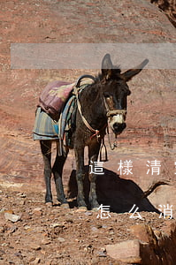 這樣清空信用卡逾期(信用卡2017年逾期怎么消除)