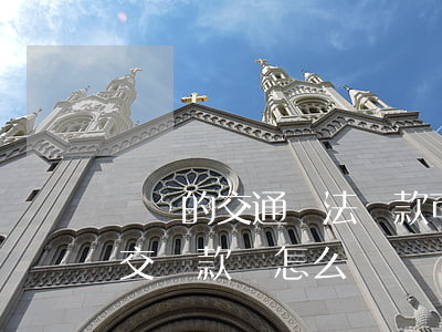 這樣的交通違法罰款可以不交嗎(交通違法不交罰款會怎么樣)
