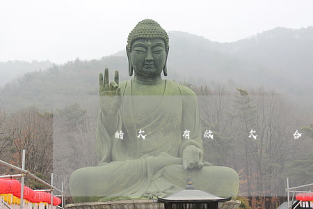 這樣的欠條有效嗎(欠條合法嗎)
