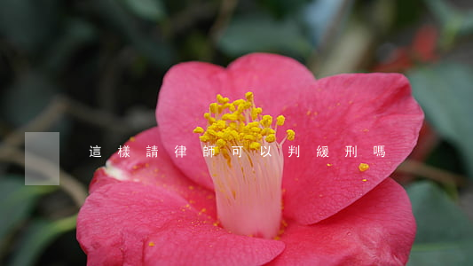 這樣請律師可以判緩刑嗎